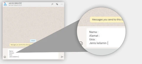 Tampilan chat WhatsApp dengan pembesaran pada kolom input pesan yang berisi draf format data mencakup Nama, Alamat, dan Usia.